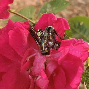 Vivid Mystery 2.0 